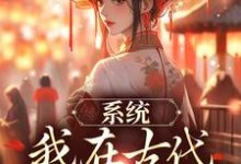 精彩章节阅读系统：我在古代带家族起飞(秦韵王霁)免费小说在线看-黄桃文学