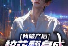 我破产后，校花翻身成总裁要养我？（陈述苏晴晚）最新章节在线阅读-黄桃文学