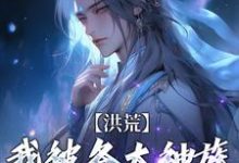 跪求主角是陆文的小说书名叫什么-黄桃文学