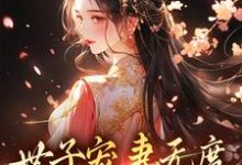 世子宠妻无度:弃妇翻身记小说最新章节在哪里可以免费看-黄桃文学
