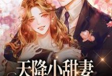 天降小甜妻:偏执大佬抱着哄精彩章节在线免费阅读(徐蓁沈凌风)-黄桃文学