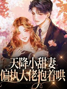 天降小甜妻：偏执大佬抱着哄精彩章节在线免费阅读（徐蓁沈凌风）