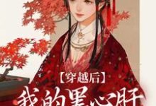 李希赵承泽小说免费阅读最新章节列表，穿越后，我的黑心肝相公太撩人小说在线看-黄桃文学