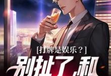 打牌是娱乐？别扯了，和打仗差不多（高林赵桂菊）最新章节免费在线阅读-黄桃文学