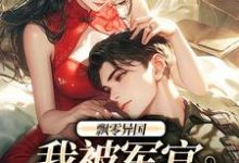 求助这本飘零异国,我被军官强制爱小说在哪里可以看完结版-黄桃文学