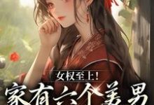 主人公是言卿的小说女权至上！家有六个美男是什么体验免费阅读-黄桃文学