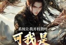 系统让我开枝散叶，可我是太监啊？免费阅读，林辰程平安大结局无弹窗-黄桃文学