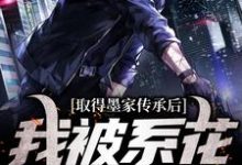 取得墨家传承后，我被系花盯上了（陈瀚宁欣楠）最新章节免费在线阅读-黄桃文学