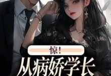 惊！从病娇学长身边逃跑失败了热门小说(叶寒向暖)在线阅读无弹窗-黄桃文学