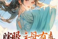 瞎眼主母有毒，不做也罢热门小说(端木静姝)在线阅读无弹窗-黄桃文学