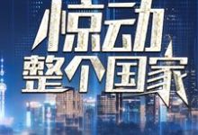 叶北最新章节列表我一通电话，惊动整个国家免费阅读-黄桃文学