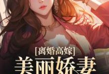 求助这本离婚高嫁：美丽娇妻哪里逃小说在哪里可以看完结版-黄桃文学