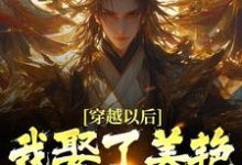 穿越以后,我娶了美艳宗主当老婆完结版貂长聚柳漓烟免费阅读大结局-黄桃文学