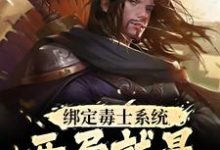 跪求主角是苏诩嬴政的小说书名叫什么-黄桃文学