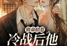 精彩章节阅读致命招惹：冷战后他靠撒娇求和(李书妤许况)免费小说在线看-黄桃文学