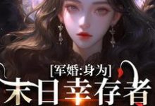 军婚:身为末日幸存者的我穿越了无弹窗纪晚卿江澈最新章节列表-黄桃文学