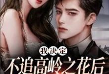 主人公是樊璐陆斯钦的小说我决定不追高岭之花后，他急了免费阅读-黄桃文学