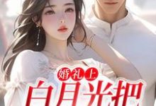 婚礼上,白月光把男友截胡了精彩章节在线免费阅读(沈矜陈槿之)-黄桃文学