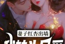妻子红杏出墙，我转头另爱完结版石昊水婉婷免费阅读大结局-黄桃文学