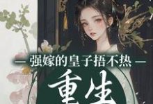 沈安安小说免费阅读最新章节列表，强嫁的皇子捂不热，重生她不要了小说在线看-黄桃文学