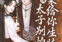 系统：太子别怕，我来给你生娃了（许锦意）完结版免费阅读-黄桃文学