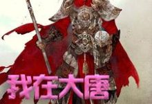 我在大唐卖军火（方二）完结版免费阅读-黄桃文学
