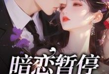 暗恋暂停，开始恋爱最新章节暗恋暂停，开始恋爱在线阅读-黄桃文学