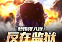 秦风林婉儿最新章节新婚夜入狱!反在监狱成大佬免费阅读-黄桃文学