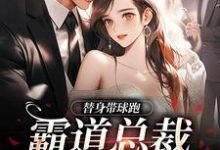 替身带球跑,霸道总裁深陷火葬场(苏溪傅晏辞)完结版免费阅读-黄桃文学