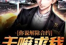 你说解除合约，干嘛求我回去（陆洲）最新章节免费在线阅读-黄桃文学
