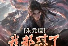 朱元璋我都怼了，还差你一个！热门小说(吴寿安朱元璋)在线阅读无弹窗-黄桃文学