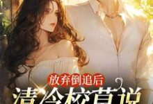 放弃倒追后,清冷校草说他喜欢我无弹窗苏晚秋最新章节列表-黄桃文学