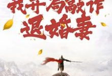 穿到修仙界,我开局敲诈退婚妻精彩章节在线免费阅读(顾风)-黄桃文学