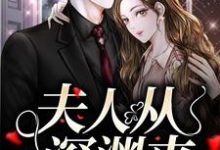 夫人从深渊来小说资源求分享，夫人从深渊来简茵熹傅霆灏在线阅读-黄桃文学