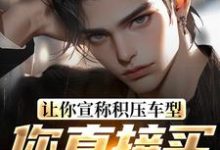 让你宣称积压车型，你直接买脱销？热门小说(苏晨)在线阅读无弹窗-黄桃文学
