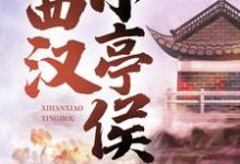 赵启明小说免费阅读最新章节列表，西汉小亭侯小说在线看-黄桃文学