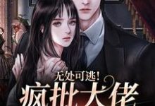 求助这本无处可逃!疯批大佬强制爱小说在哪里可以看完结版-黄桃文学