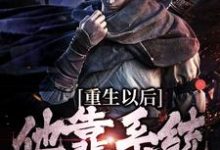 主角是盛怀安的小说重生以后，他靠系统杀敌变强在哪免费看-黄桃文学