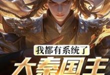 叶天北冥子最新章节列表我都有系统了，大秦国主还装啥免费阅读-黄桃文学