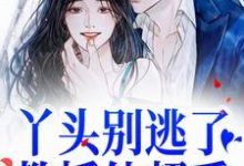 丫头别逃了！教授他超爱（苏绾晚谢宴宁）完结版免费阅读-黄桃文学