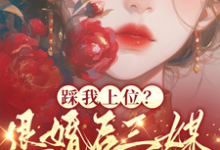精彩章节阅读踩我上位?退婚后三媒六聘嫁他哥(阮月见萧樾)免费小说在线看-黄桃文学