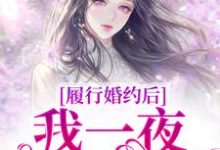 履行婚约后,我一夜变首富无弹窗江云初商司爵最新章节列表-黄桃文学