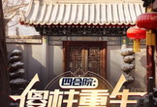 四合院：傻柱重生，收养破局（主角傻柱秦淮茹）完结版免费阅读-黄桃文学