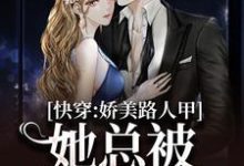 完结版快穿：娇美路人甲她总被男主觊觎在哪免费看，贺知瑶宋闻璟小说在线阅读-黄桃文学