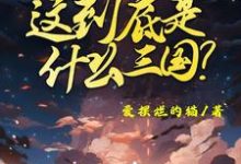 这到底是什么三国免费阅读,陈默大结局无弹窗-黄桃文学