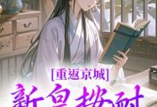 重返京城，新皇按耐不住了！免费阅读(陆行简苏晚晚)小说免费读最新章节-黄桃文学
