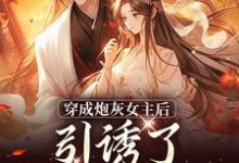 主人公是沈毓灵权明赫的小说踹掉言情男主，勾搭男频帝王免费阅读-黄桃文学