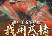 战神王爷要坠魔,我用感情拯救他小说资源求分享,战神王爷要坠魔,我用感情拯救他苏婉清陆少卿在线阅读-黄桃文学