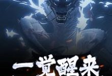 女尊人夫：被逆徒强推的白衣剑仙热门小说(叶尘渊江月寒)在线阅读无弹窗-黄桃文学