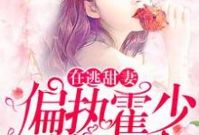 在逃甜妻：偏执霍少放肆宠热门小说(苏绵绵)在线阅读无弹窗-黄桃文学